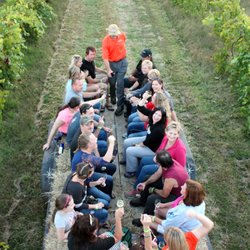 Berryville Vineyards - Harvestfest