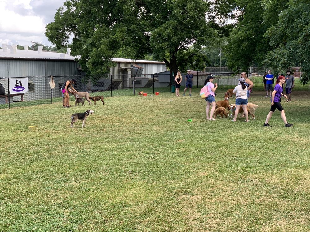 PLAZA MIDWOOD NEIGHBORHOOD ASSOCIATION DOG PARK Updated June 2024