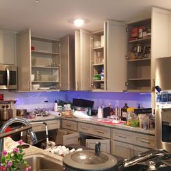 Clutter Cutter Reno