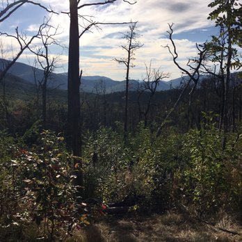 Roaring Fork Motor Nature Trail - Roaring Fork Hiking Trail - Hiking Near Me