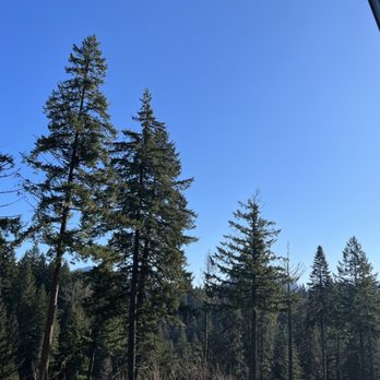 Carson Hotspring Golf and Spa Resort - Wind Mountain hiding behind the trees - Day Spas Near Me - Carson, Washington