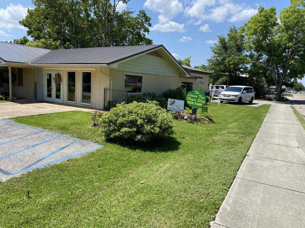 THE LEMON TREE Updated September 2024 14 Photos 100 Cleve St