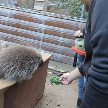 Wildlife Learning Center - Zoos Near Me - Sylmar, California