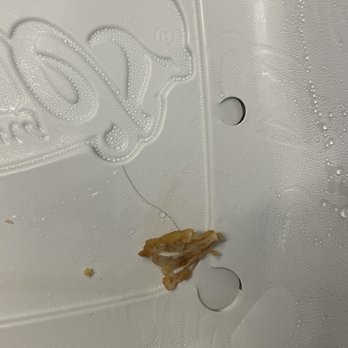Raising Cane's Chicken Fingers - found a hair in my chicken  The Box Combo - 4 Chicken Fingers - Fast Food Near Me - Athens, Georgia