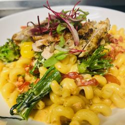 Grill On the Green - Cavatappi Pasta with Grilled Chicken, Broccolini, Sun-dried Tomatoes & Goat Chèvre Cream Sauce