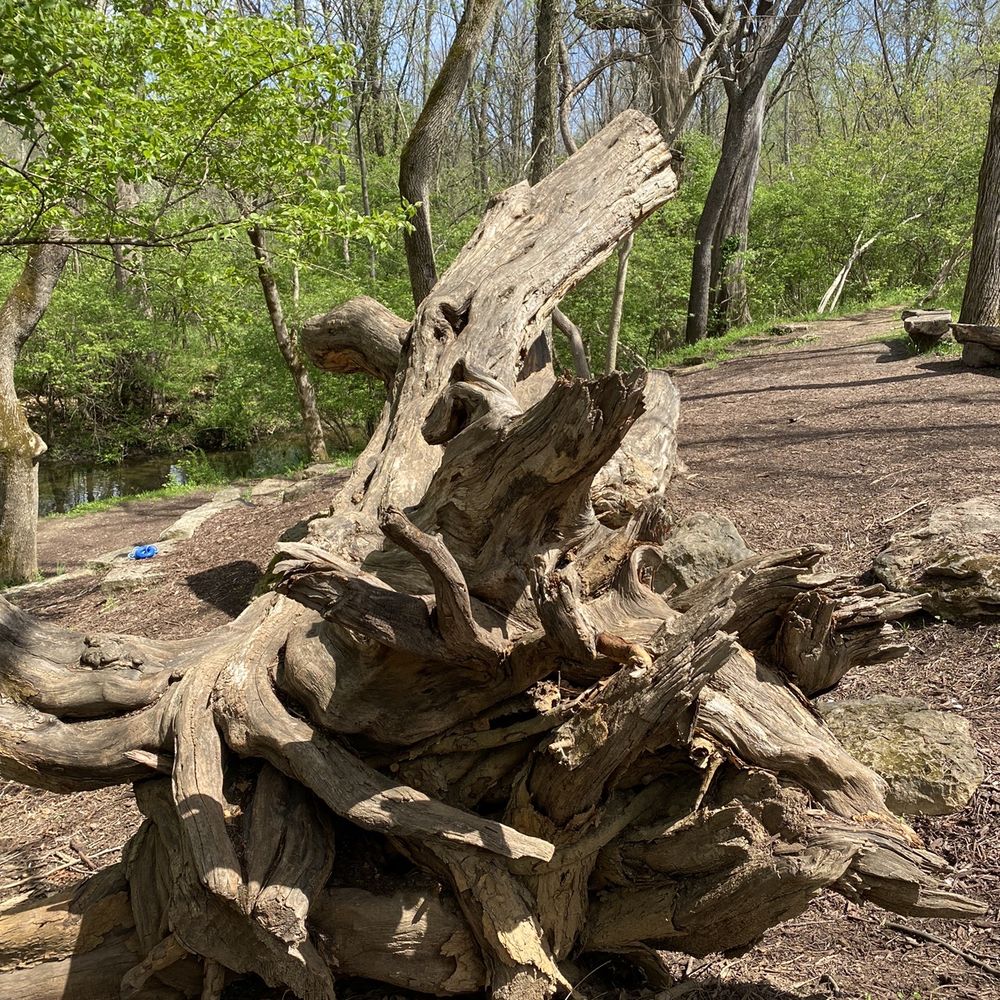 Anchorage Trail - Hiking Near Me - Anchorage, Kentucky