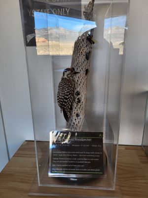 Red Rock Canyon Visitor Center by null