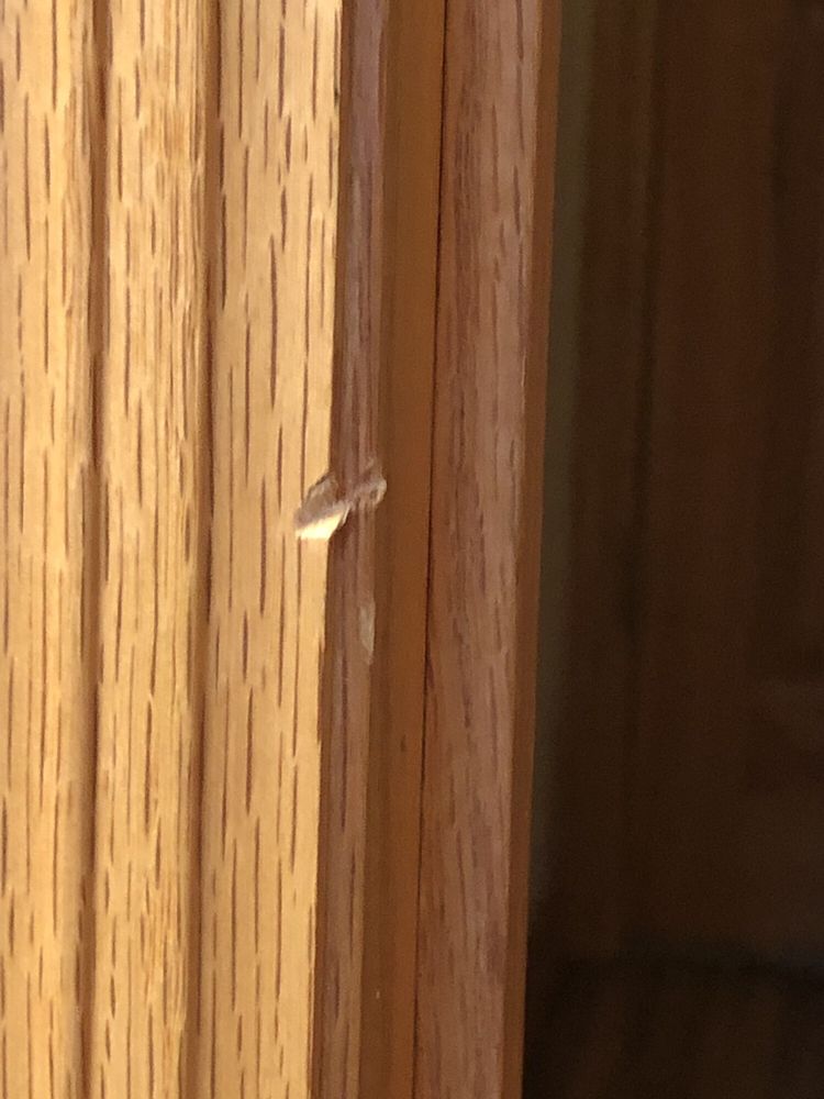 Slide of Aquarius Home Services