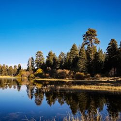 Bluff Lake Reserve