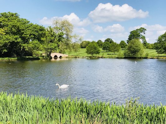 Four Seasons Hotel Hampshire by null