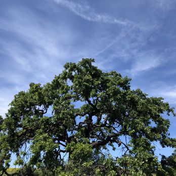 Sapwi Trails Community Park - Parks Near Me - Thousand Oaks, California Sapwi Trails Community Park - Parks Near Me - Thousand Oaks, California