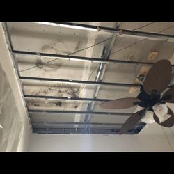 Drypro - Mold damage uncovered by on a job site. Always ensure your mold remediator is licensed by the state of FL.