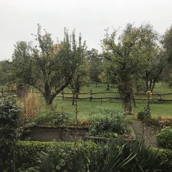 Hotel Augustusgabe - View from the restaurant - Hotels Near Me - Barby (Elbe), ST