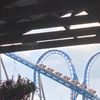 Blue Hawk gift card