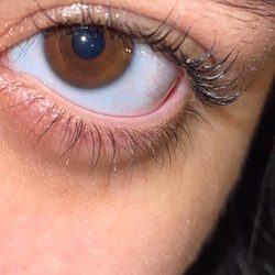 Lashes By Alexandra - Lash Lift + Tint