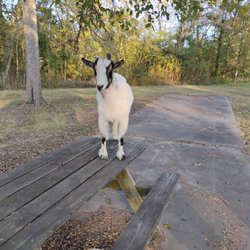 Country Escape RV Park