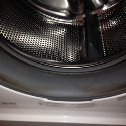 Landed Gentry - Mold in washing machine