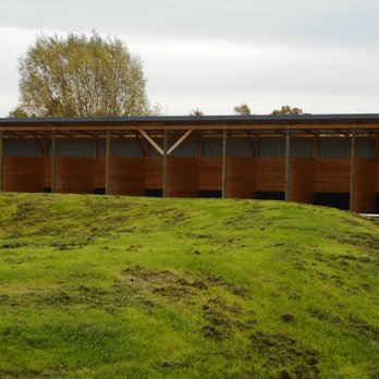 Horner Rennbahn - Horse Racing Near Me - Hamburg, HH