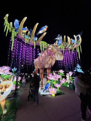 Woodland Park Zoo by null