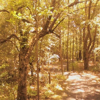 Clinton Community Nature Center - Tree and trail. - Parks Near Me - Clinton, Mississippi