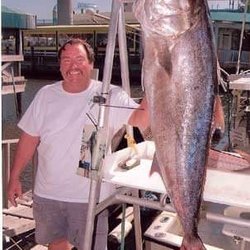 Largest Amberjack on record to hit the dock!