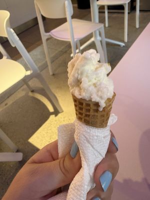 Shock Gelato by null