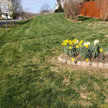 Bnb Lawn Care - Just finish this yard - Lawn Services Near Me Bnb Lawn Care - Just finish this yard - Lawn Services Near Me