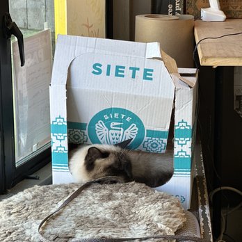 Downtown Local - Kitty - Cafes Near Me - Pescadero, California Downtown Local - Kitty - Cafes Near Me - Pescadero, California