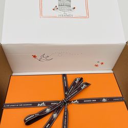 Hermès Topanga - Special delivery packaging - coveted orange box