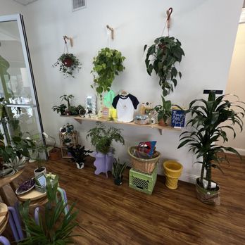 Bad Witch Crystals - Inside - Jewelry Near Me - San Jose, California