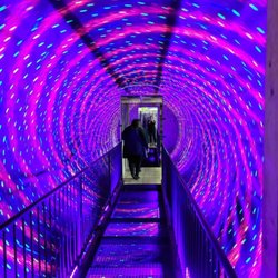 The Vortex Tunnel is not for the faint of heart. Enter if you dare!