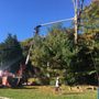 Photo of Top Notch Tree Service