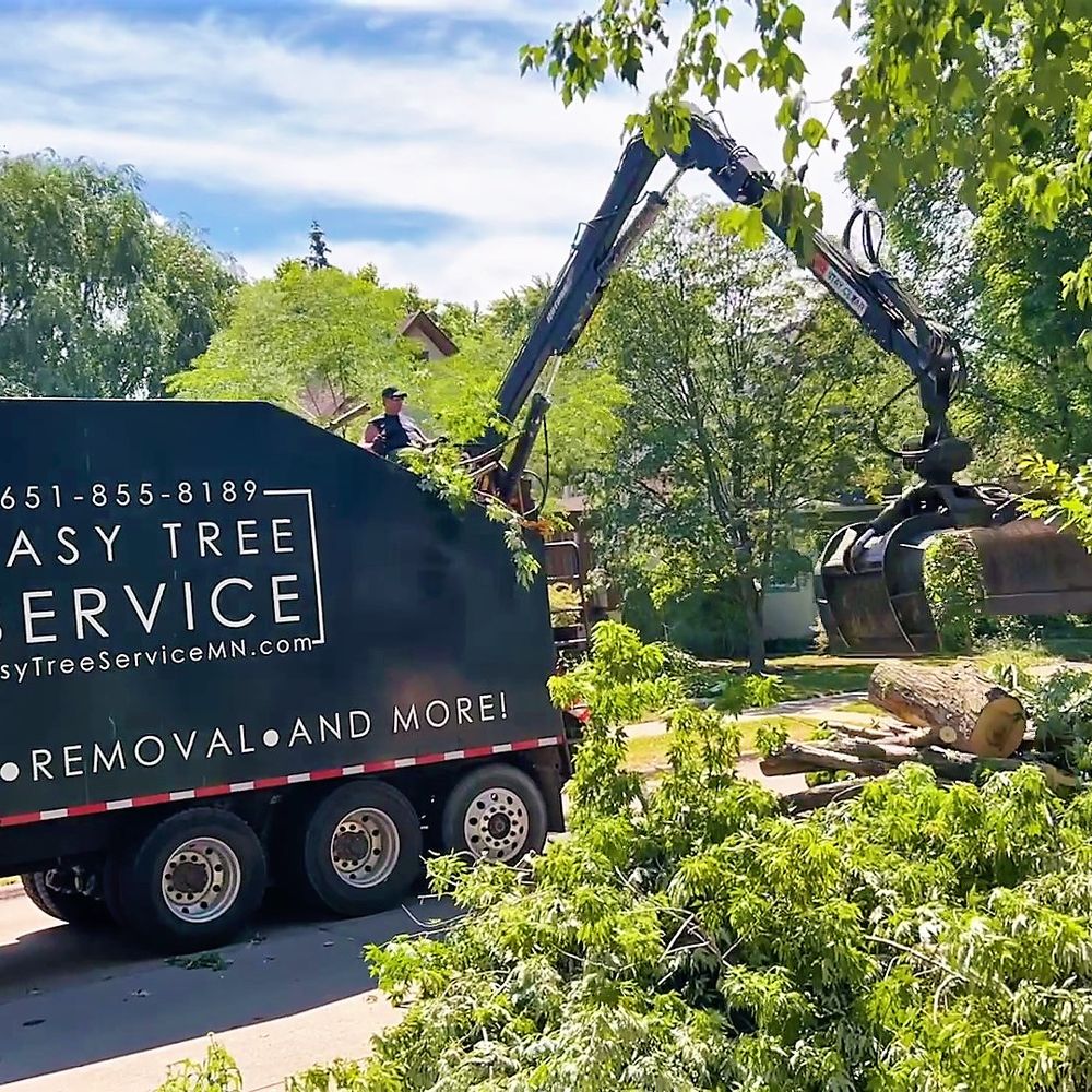TOP 10 BEST Tree Trimming in Burnsville, MN - December 2023 - Yelp