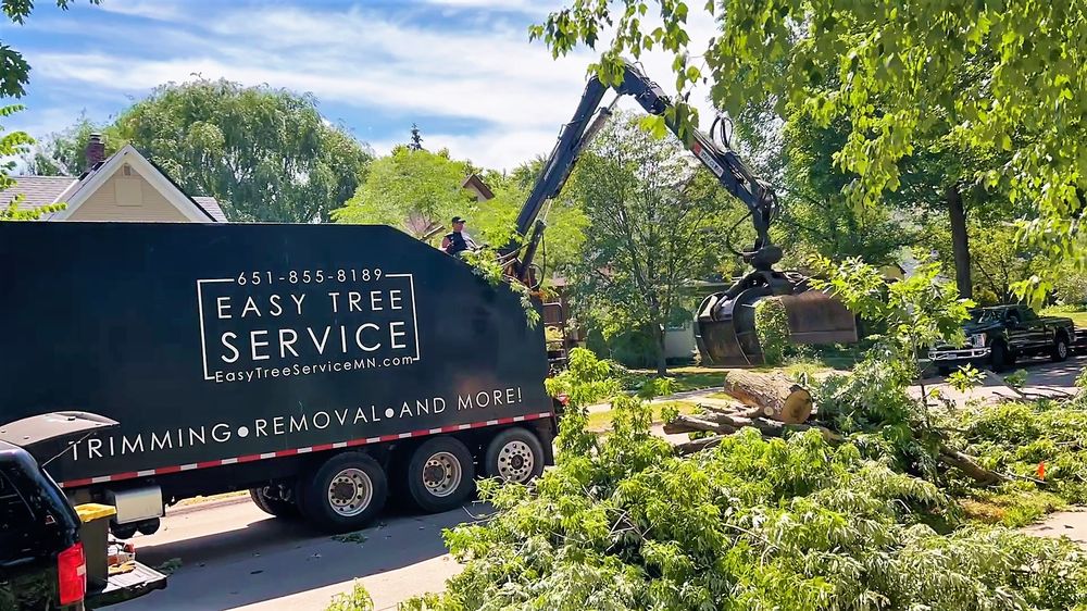 Easy Tree Service - tree service in Lakeville, MN