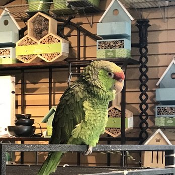 The Great Outdoors - Nurseries & Gardening Near Me - Austin, Texas The Great Outdoors - Nurseries & Gardening Near Me - Austin, Texas