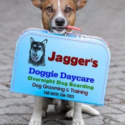 Jagger's Doggie Daycare, Dog Grooming, Training & Boarding - If you are going on vacation, Jagger's can board your dog in one of our luxury Suites