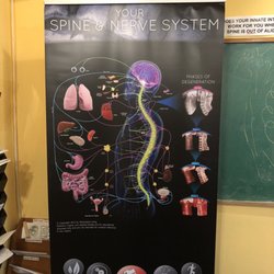 Accurso Chiropractic Life Center
