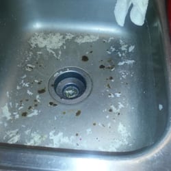 Park Court Apartments - The poop that backed up into the kitchen sink.