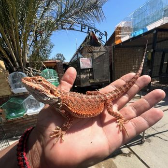Marquez Pets - Pet Stores Near Me - Bakersfield, California Marquez Pets - Pet Stores Near Me - Bakersfield, California