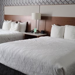 Beds Beds