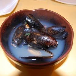 Mussels! free!