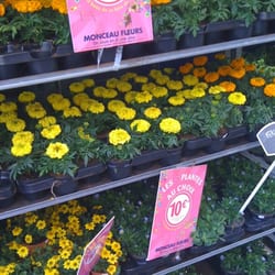 Monceau Fleurs