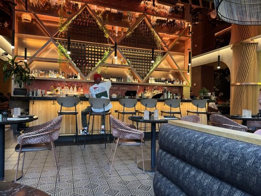 PLANTA Queen by null