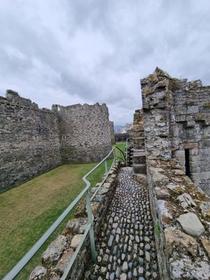 Beaumaris Castle by null