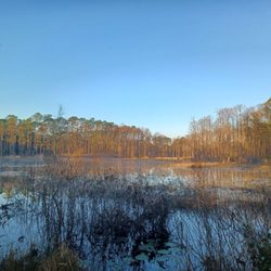 Lake Proctor Wilderness Area