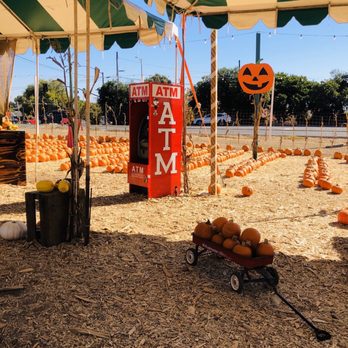 Deluca Farm - Pumpkin Patches Near Me - San Pedro, California Deluca Farm - Pumpkin Patches Near Me - San Pedro, California
