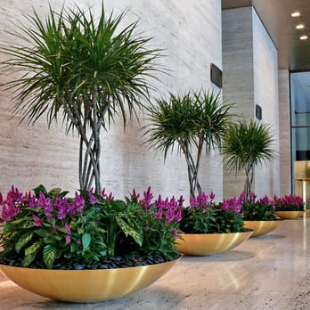 Silversand Services - Interior Plant Services - Landscaping Near Me - Houston, Texas Silversand Services - Interior Plant Services - Landscaping Near Me - Houston, Texas