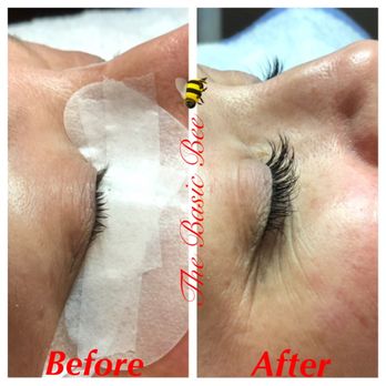 The Basic Bee Spa - Classic Lash Extensions - Waxing Near Me - Jonesboro, Arkansas The Basic Bee Spa - Classic Lash Extensions - Waxing Near Me - Jonesboro, Arkansas