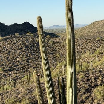 Cave Creek Regional Park - Parks Near Me - Cave Creek, Arizona Cave Creek Regional Park - Parks Near Me - Cave Creek, Arizona