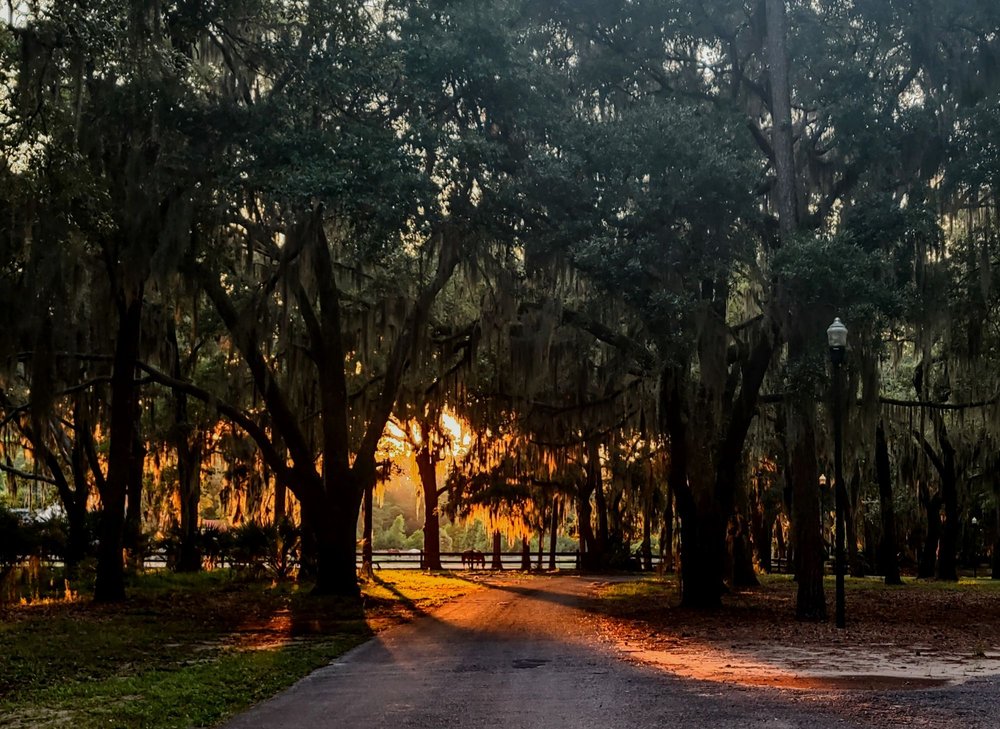 DAUFUSKIE RENTAL GROUP Updated June 2024 19 Photos 7 Forest Lake